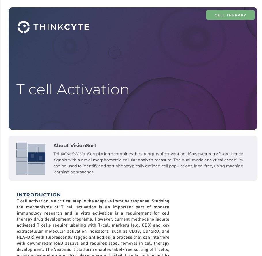 T cell Activation